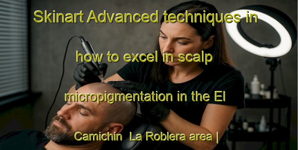 Skinart Advanced techniques in how to excel in scalp micropigmentation in the El Camichin  La Roblera area | SmpTraining | SmpClasses | SkinartTraining-Mexico